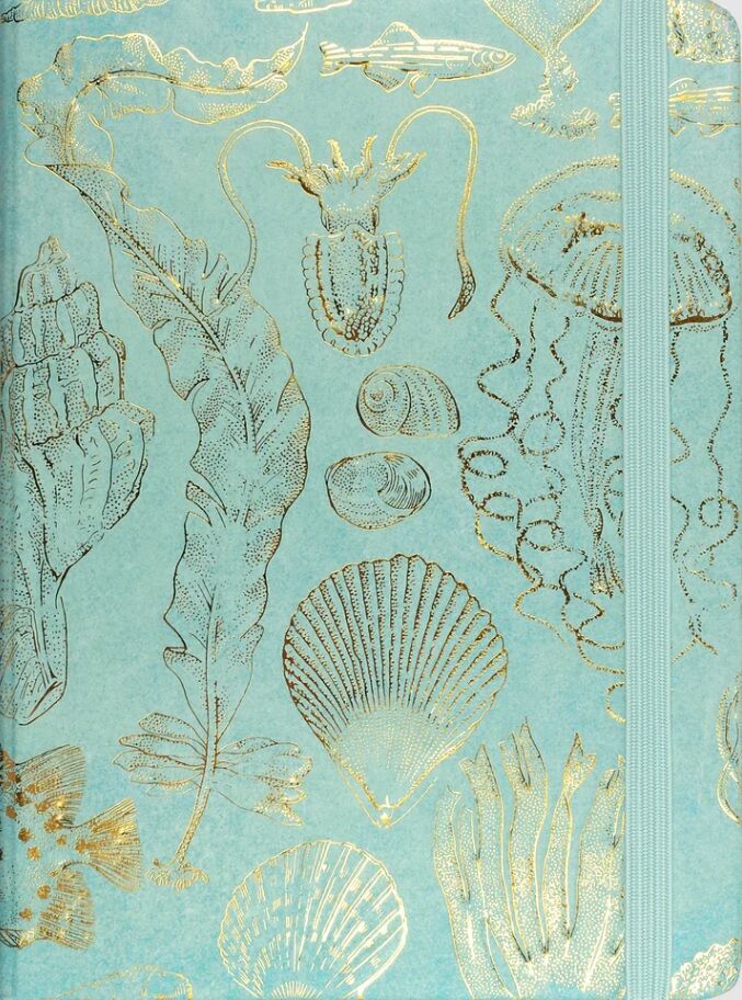 Sealife Sketches Journal